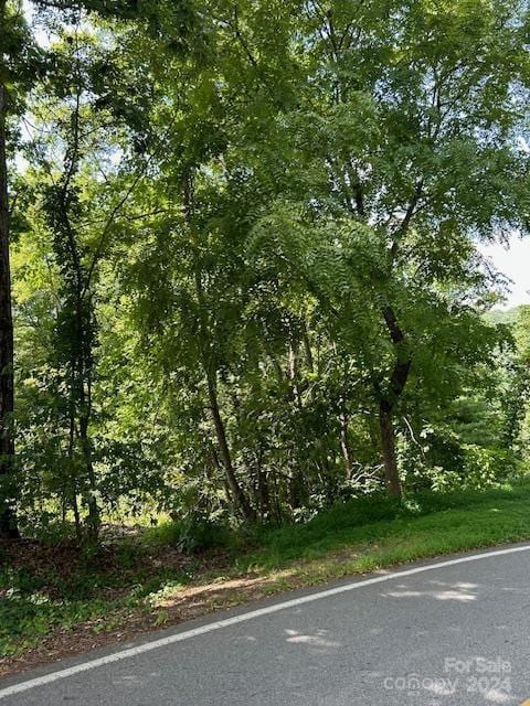 46 Elk Mountain Rdg, Asheville NC, 28804 land for sale