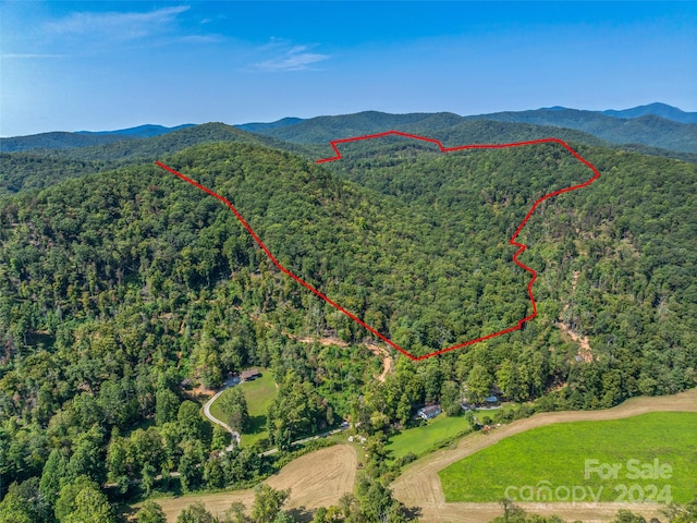 567 Davey Branch Rd, Horse Shoe NC, 28742 land for sale