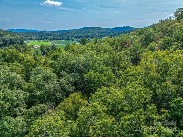 567 Davey Branch Rd, Horse Shoe, NC 28742
