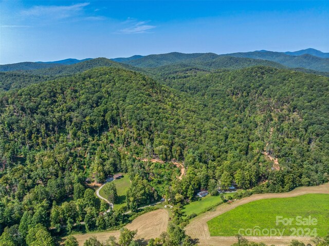 567 Davey Branch Rd, Horse Shoe, NC 28742