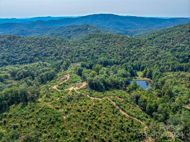 567 Davey Branch Rd, Horse Shoe, NC 28742
