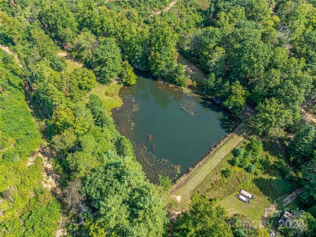567 Davey Branch Rd, Horse Shoe, NC 28742