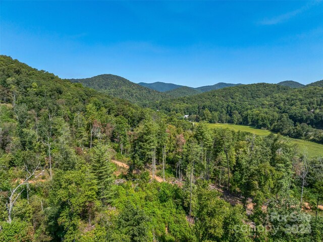 567 Davey Branch Rd, Horse Shoe, NC 28742
