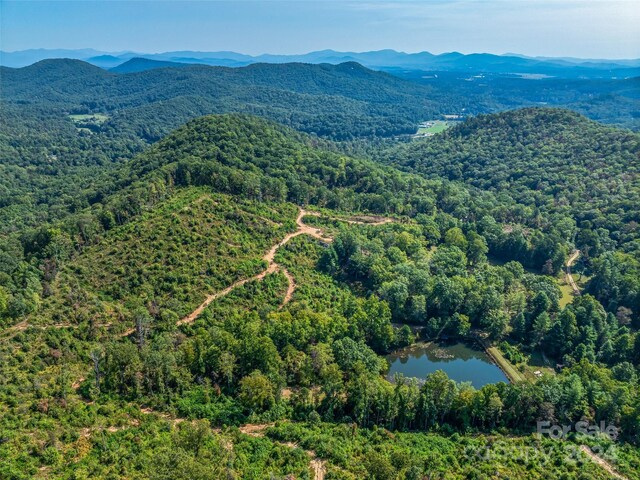 567 Davey Branch Rd, Horse Shoe, NC 28742