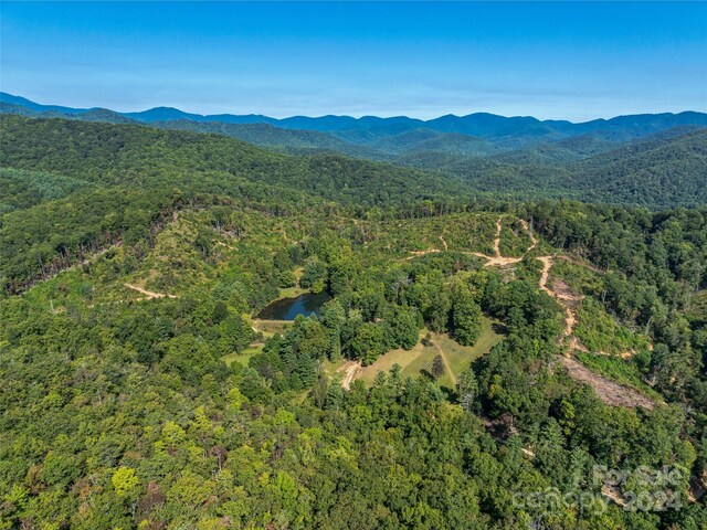 567 Davey Branch Rd, Horse Shoe, NC 28742