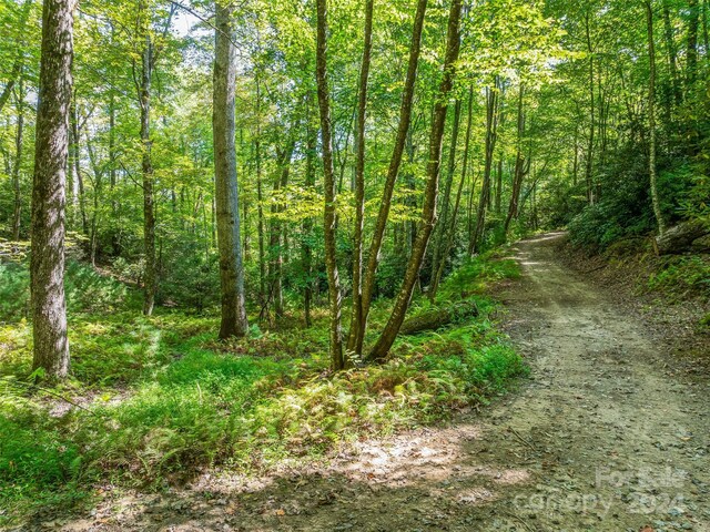 567 Davey Branch Rd, Horse Shoe, NC 28742