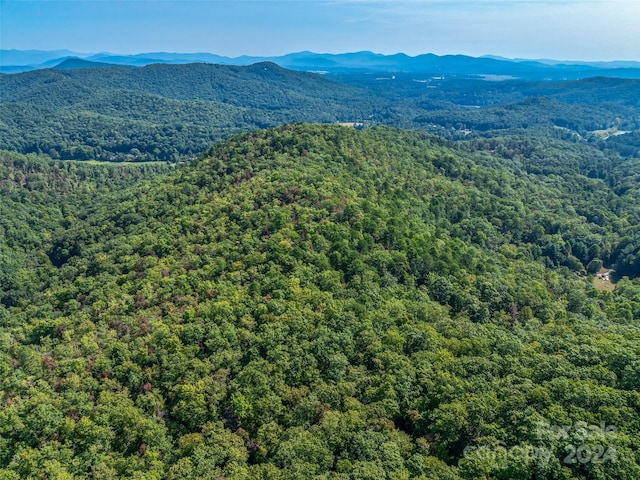 567 Davey Branch Rd, Horse Shoe, NC 28742