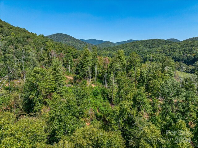 567 Davey Branch Rd, Horse Shoe, NC 28742