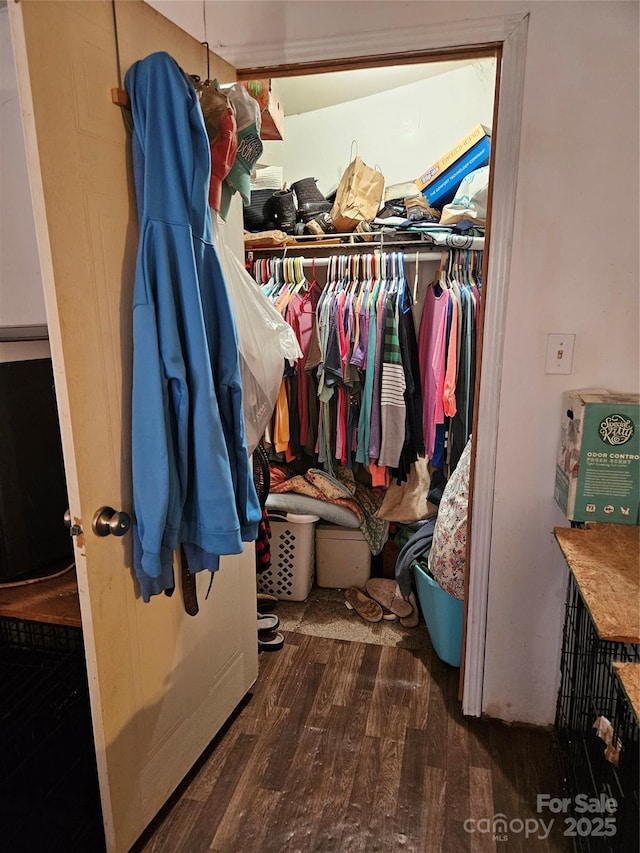 spacious closet featuring dark hardwood / wood-style floors