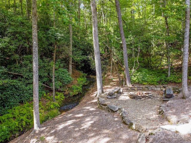 view of yard with a wooded view