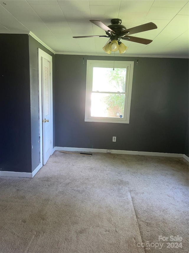 carpeted spare room with ceiling fan and ornamental molding