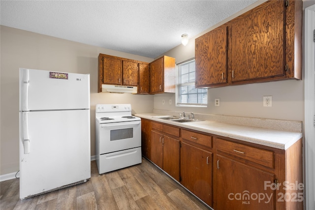 kitchen with light countertops, a sink, wood finished floors, white appliances, and under cabinet range hood