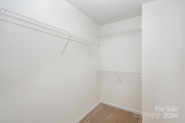 spacious closet with carpet floors