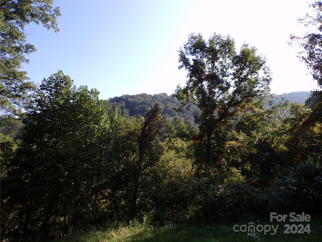 view of local wilderness with a view of trees