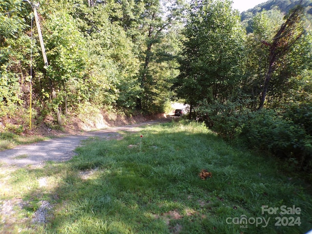 view of yard with a wooded view