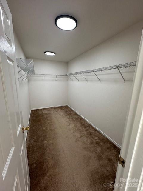 walk in closet featuring dark carpet