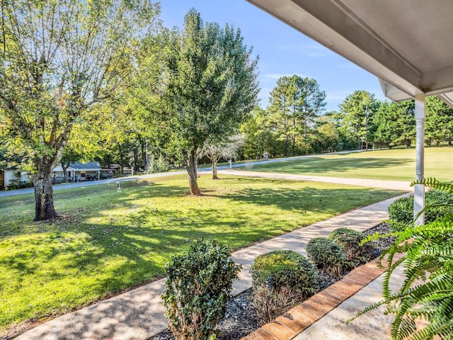 241 Eastview Dr, Bostic, NC 28018 - view of yard