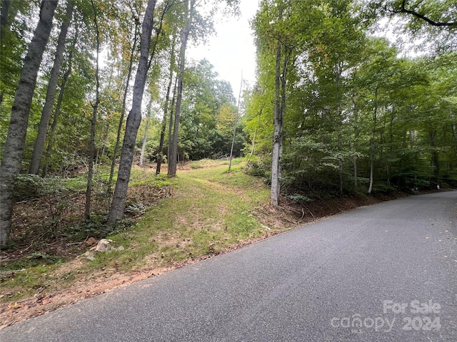 0 Country Club Drive G-1&2, Canton NC, 28716 land for sale