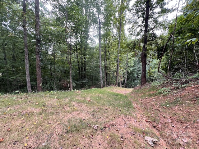 Listing photo 3 for 0 Country Club Drive G-1&2, Canton NC 28716