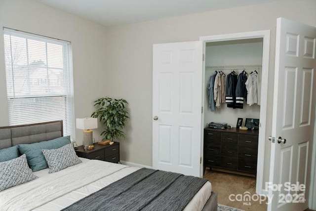 bedroom featuring carpet floors, a walk in closet, baseboards, and a closet