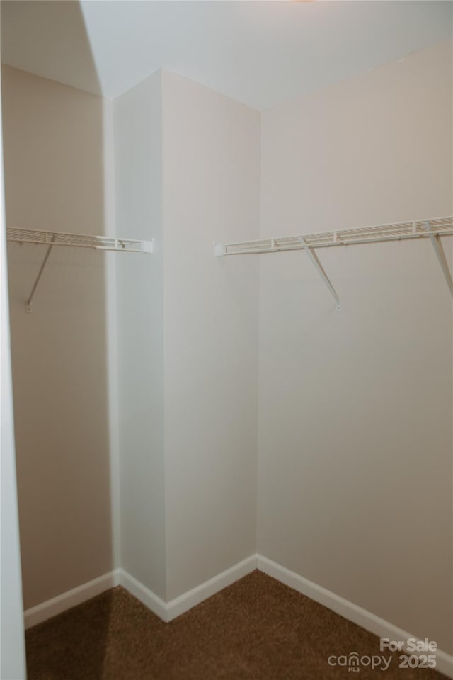 walk in closet featuring carpet