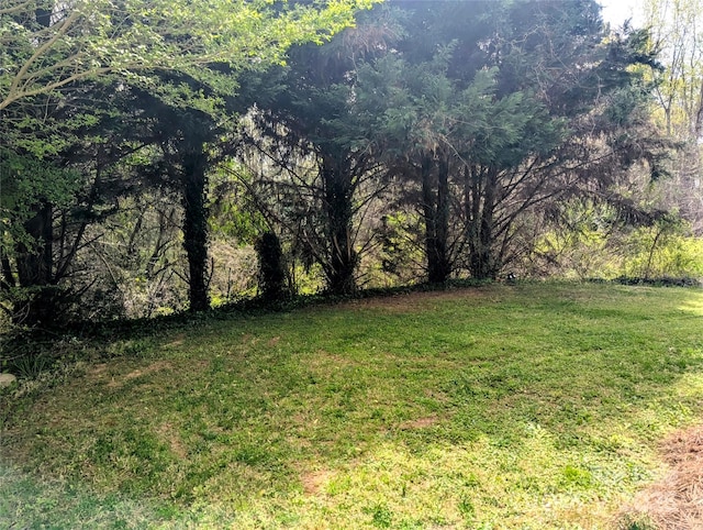 view of yard with a wooded view