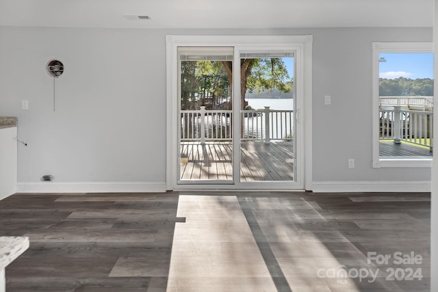 doorway featuring dark wood-type flooring and plenty of natural light