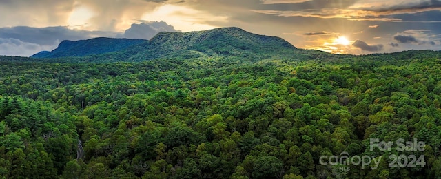 view of mountain feature