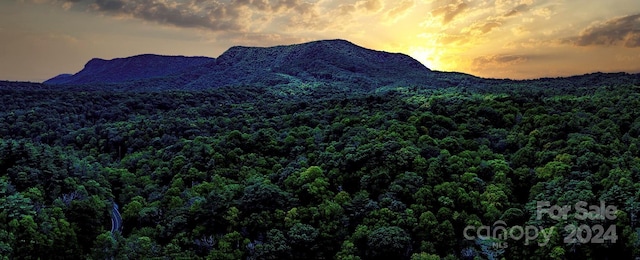 property view of mountains