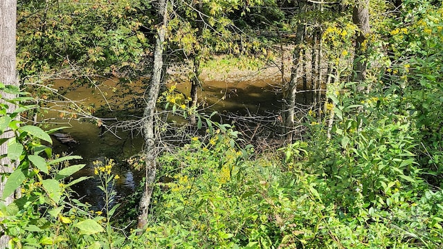 view of local wilderness featuring a water view