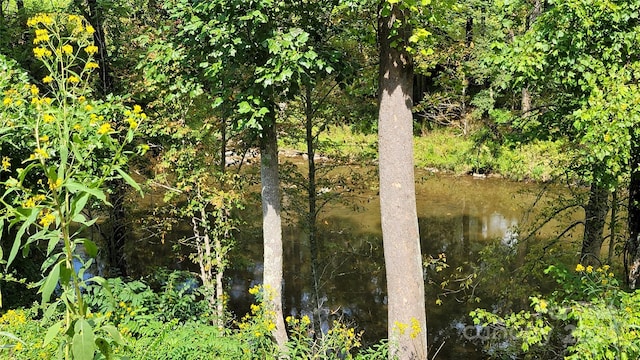 view of water feature