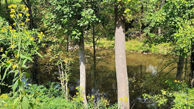view of landscape featuring a water view