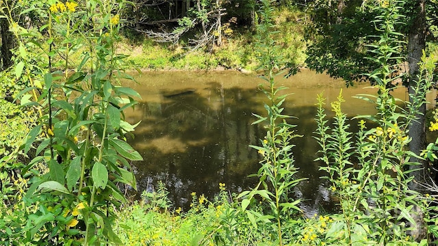 view of landscape featuring a water view