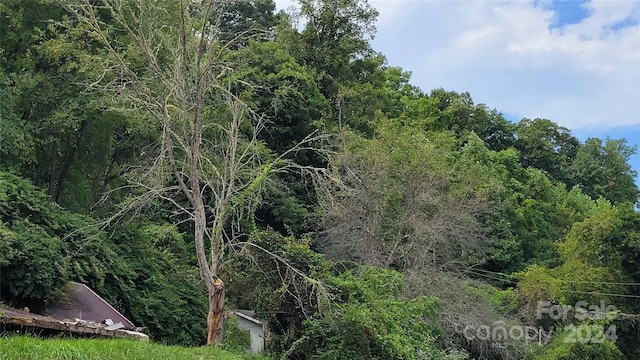 view of nature with a forest view