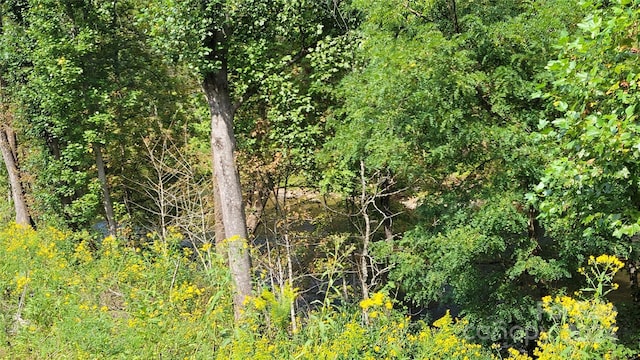 view of landscape with a wooded view