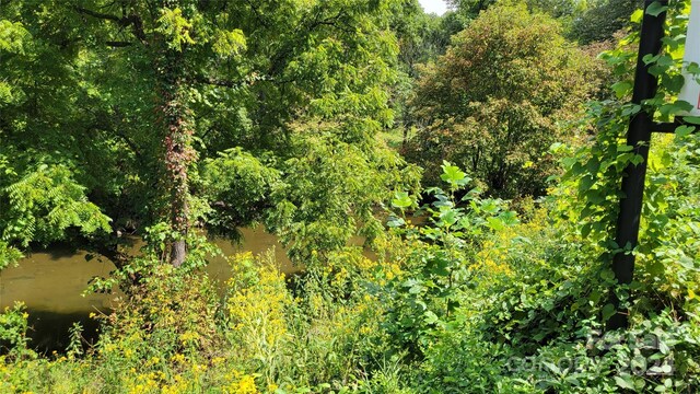 view of landscape with a water view