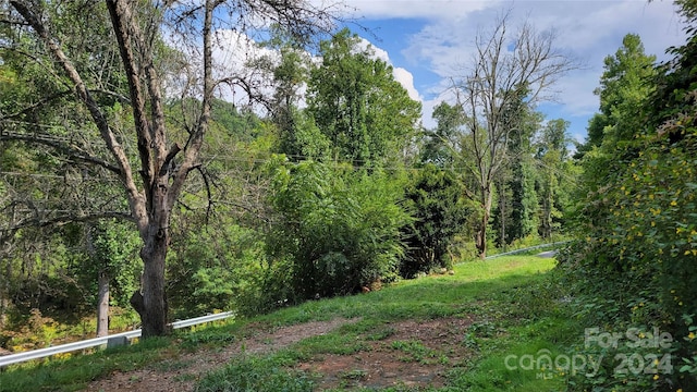view of landscape with a wooded view