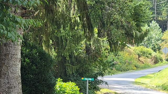 view of road featuring a wooded view