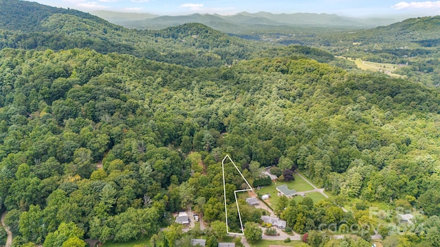 61 Rice Branch Rd, Asheville NC, 28804 land for sale