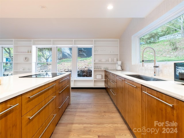 kitchen featuring plenty of natural light, vaulted ceiling, light wood-type flooring, and black electric cooktop