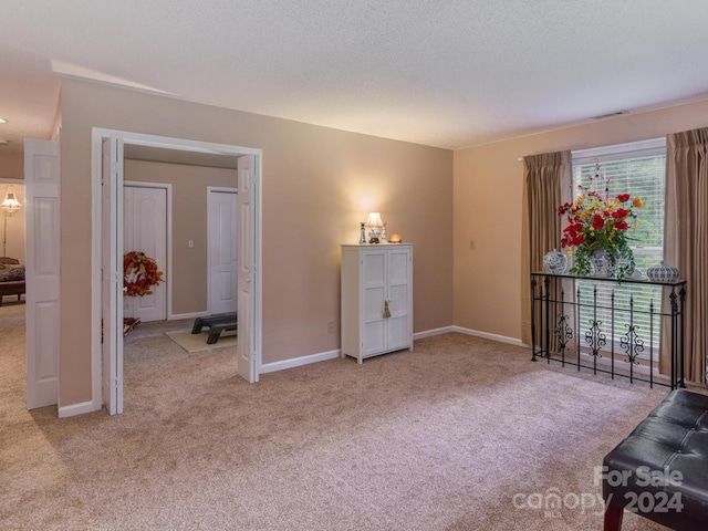 interior space featuring a textured ceiling and light colored carpet