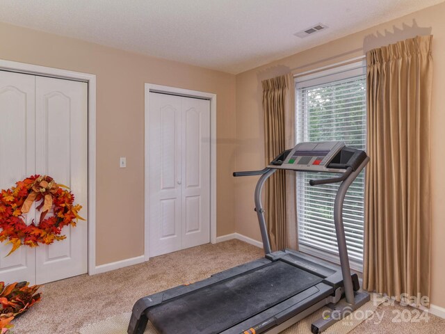 workout area featuring carpet floors