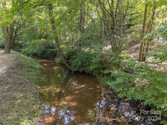 view of local wilderness