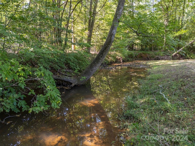 view of local wilderness