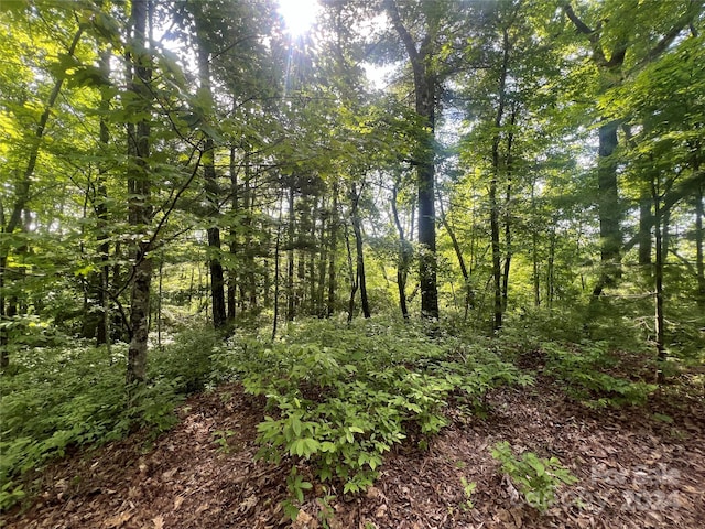 000 Laurel Thicket Ln, Brevard NC, 28712 land for sale