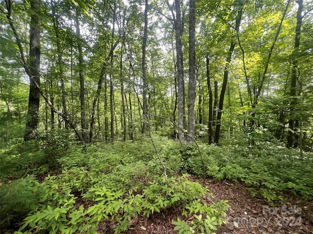 000 Laurel Thicket Ln, Brevard, NC 28712 - photo 2