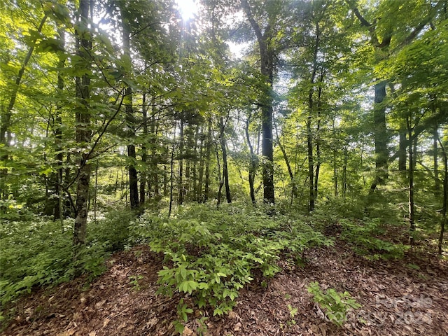 000 Laurel Thicket Ln, Brevard, NC 28712 - photo 3
