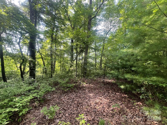 000 Laurel Thicket Ln, Brevard, NC 28712 - photo 4