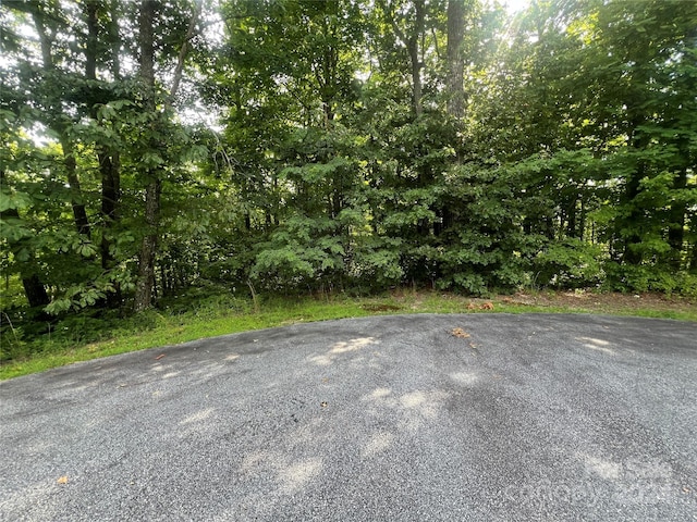 000 Laurel Thicket Ln, Brevard, NC 28712 - photo 5