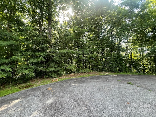 000 Laurel Thicket Ln, Brevard, NC 28712 - photo 6
